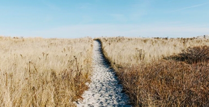 Co se mění v roce 2020: vyšší důchody, E-neschopenka, příspěvek na péči, nemocenské pojištění... Více čtěte na: www.socialnipolitika.eu