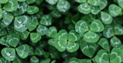 Jak být šťastnější? 