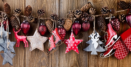 Přijďte se adventně naladit na tradiční jarmark v Michelském dvoře, nakoupit svým blízkým pod stromeček, pochutnat si na dobrotách, společně rozsvítit vánoční strom, navštívit koncert či divadlo pro děti.