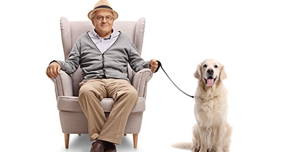 Možná, že máme zpomalit, zakořenit, zklidnit se. Rušení akcí znamená být víc doma, mít víc času pro sebe a aktivity, na které jsme si jej dosud nebyli schopni najít. Vzniká prostor si pořádně uklidit – v bytě i v sobě. Více čtěte na: www.novinyanovinky.cz