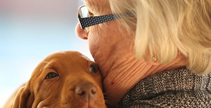 Průzkum: Naprostá většina Čechů preferuje péči doma. Domovy pro seniory by volila méně než čtvrtina z nich. Více na: www.socialnipolitika.eu